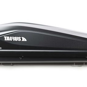 Taurus Easy 320